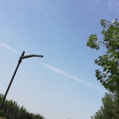 萌宠大作战4399游戏盒下载